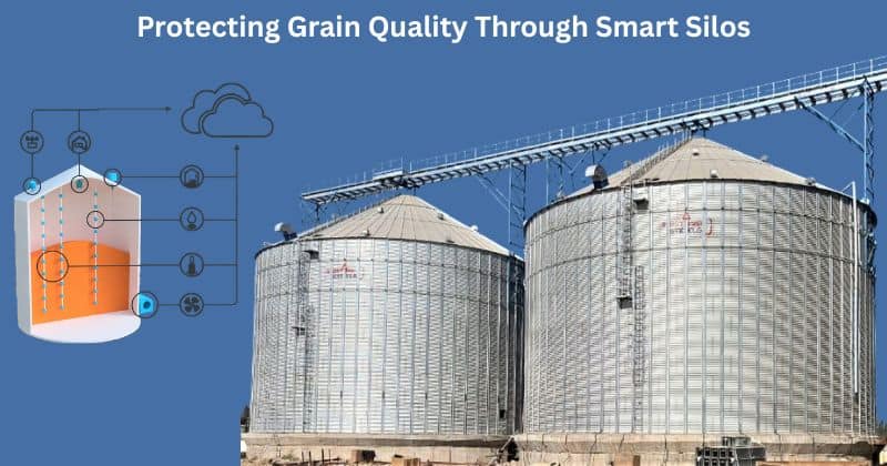 Silo contamination
