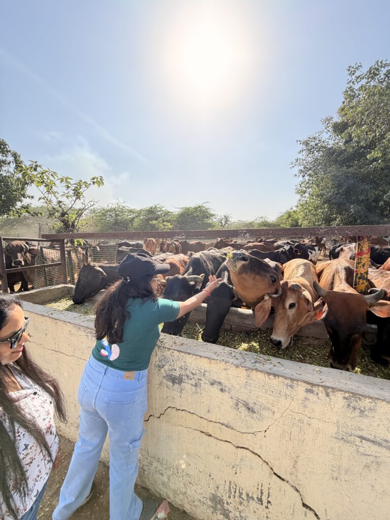 Green Earth, Compassionate Hearts